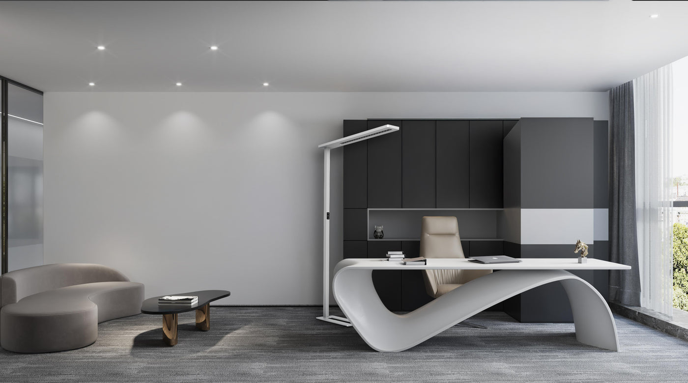 MERCURE LS