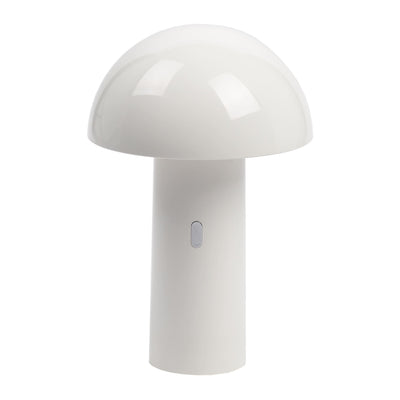 CAPSULE 