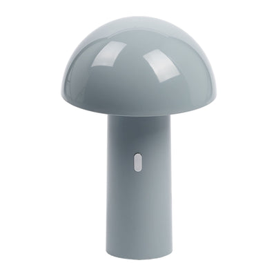 CAPSULE 