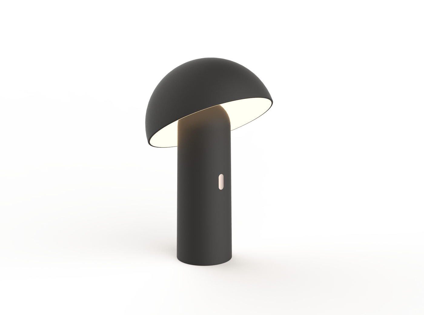 CAPSULE 