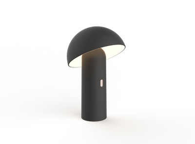 CAPSULE 