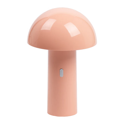 CAPSULE 