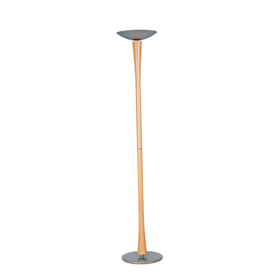 EDEN LED 